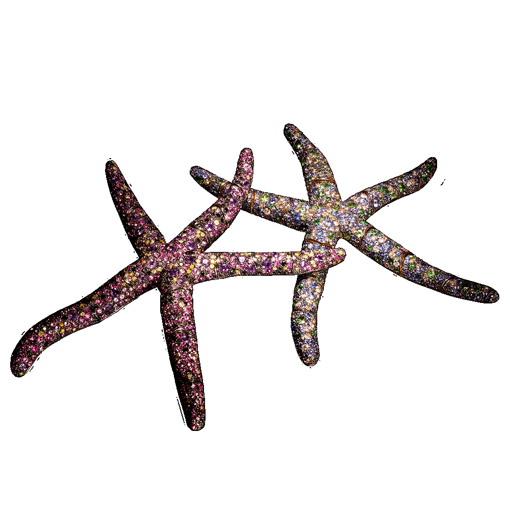 Paolo Piovan - Starfish