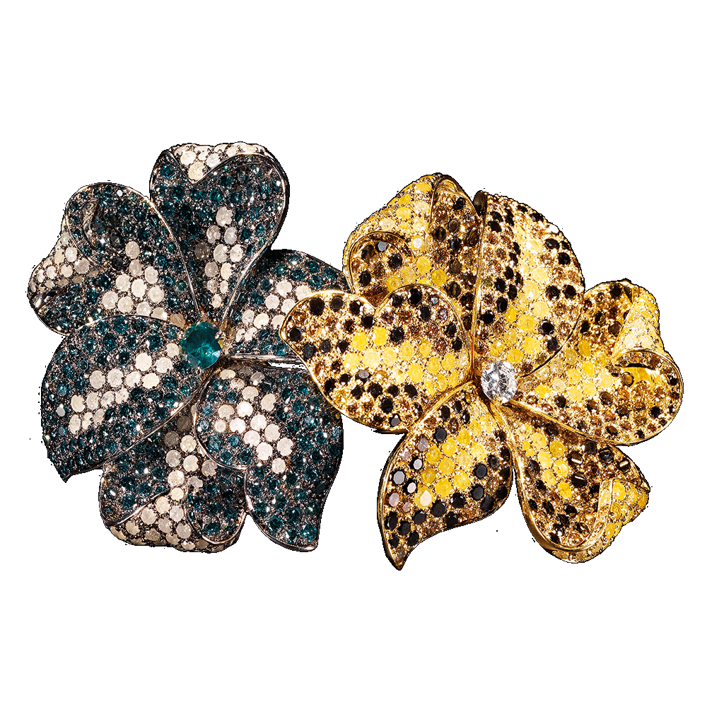 Paolo Piovan - Amaryllis