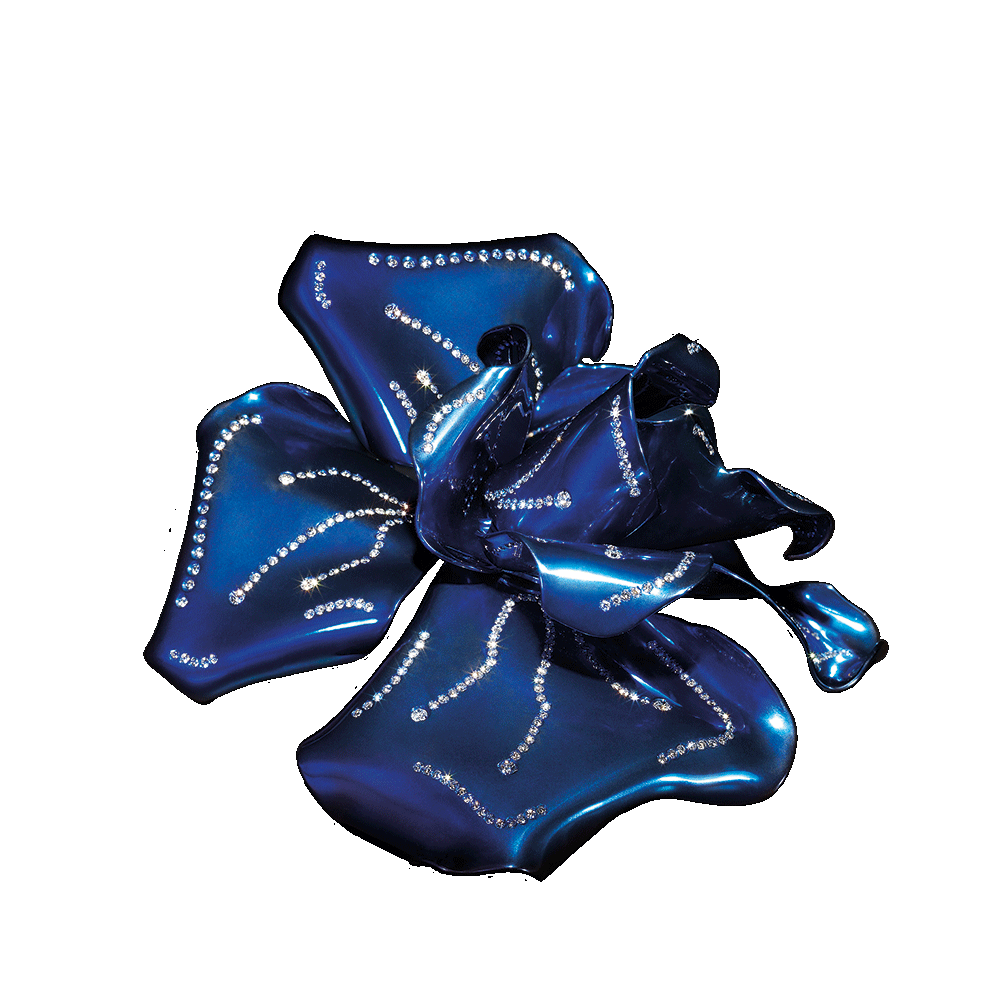 Paolo Piovan - Titanium Rose