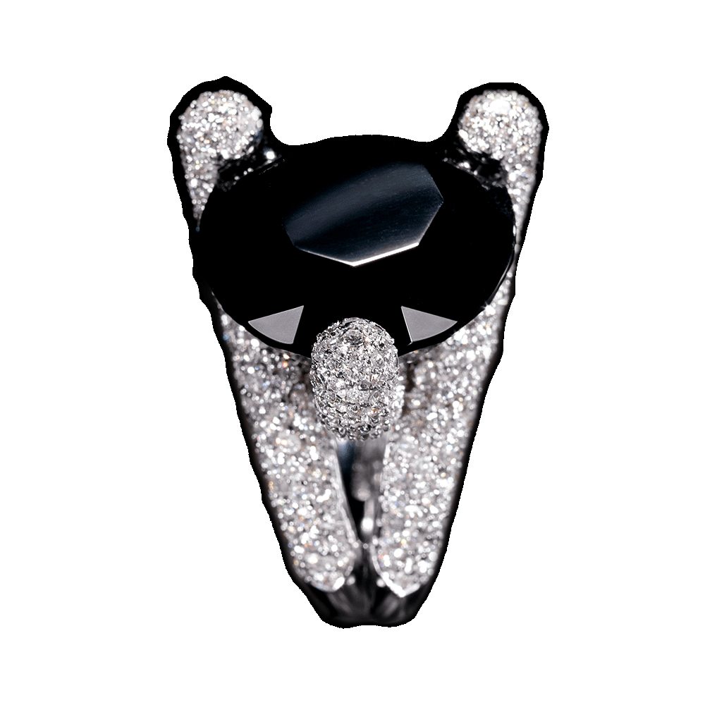 Paolo Piovan - Black Valentino