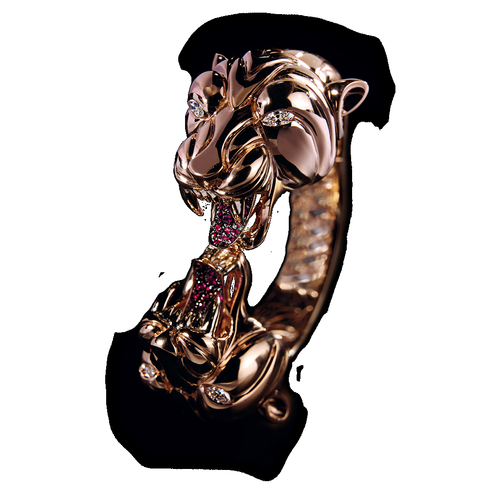 Paolo Piovan - Tiger